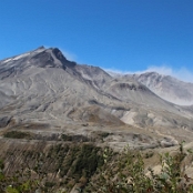 Mount St. Helens 17